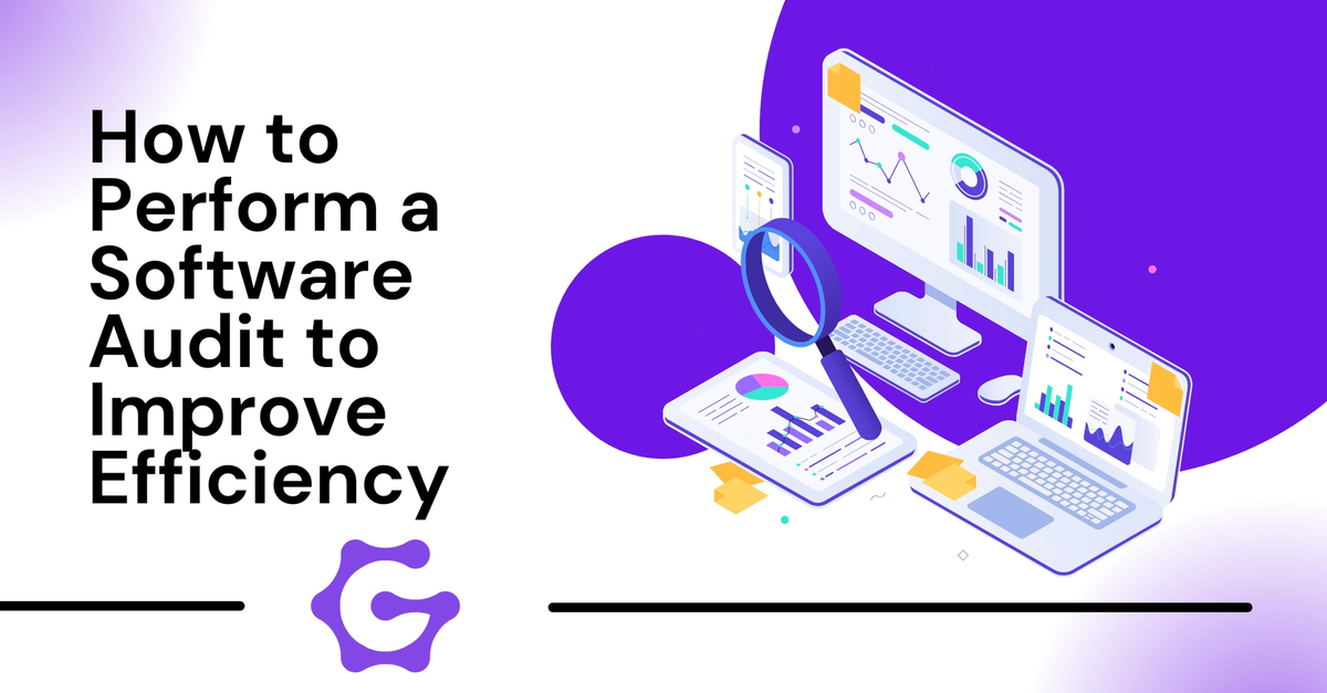 How to Perform a Software Audit to Improve Efficiency | TheGenCodeBlog.
