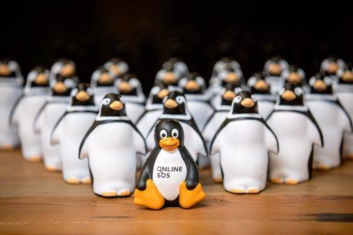 Our 2017 Cohort Is Ready for Impact – Fast Forward