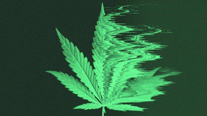 What’s Good in Tech, Issue 2 – Fast Forward