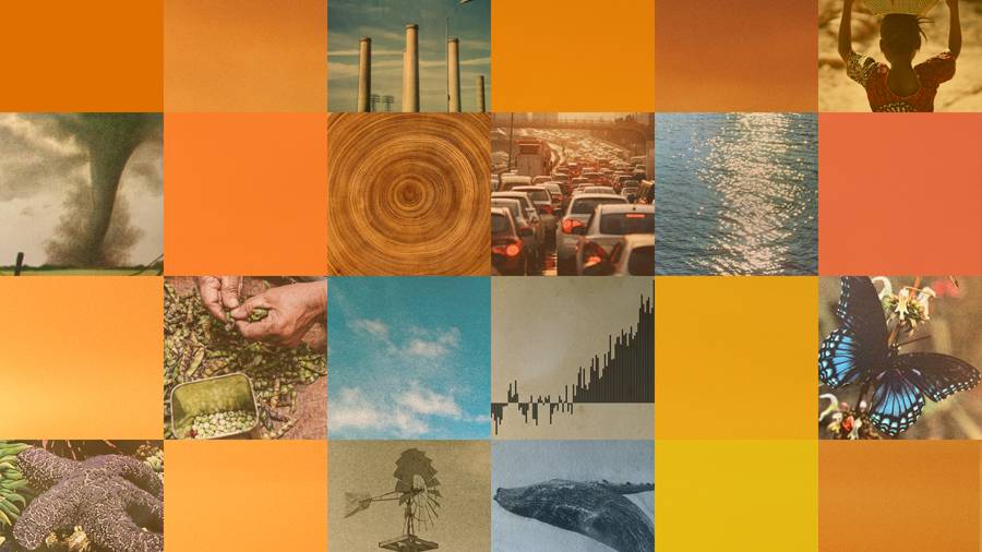 The AI-Powered Nonprofits Coding a Greener Future