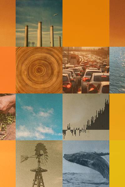 background media
