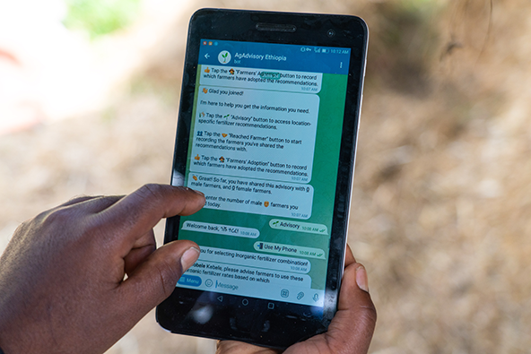 The AI-Powered Nonprofits Coding a Greener Future – Fast Forward – Where Tech Meets Social Impact