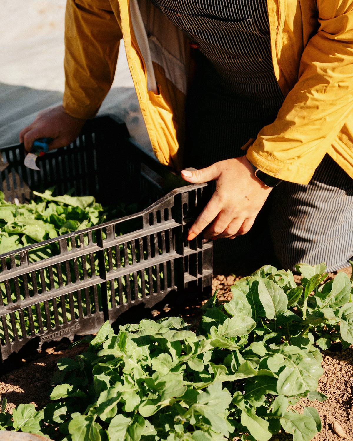 Meet Fast Forward’s 11th Startup Accelerator Cohort – Fast Forward