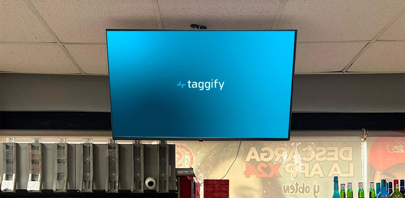 MX - Veracruz - Xalapa - Indeco Animas - Araucarias 298 - Xalapa