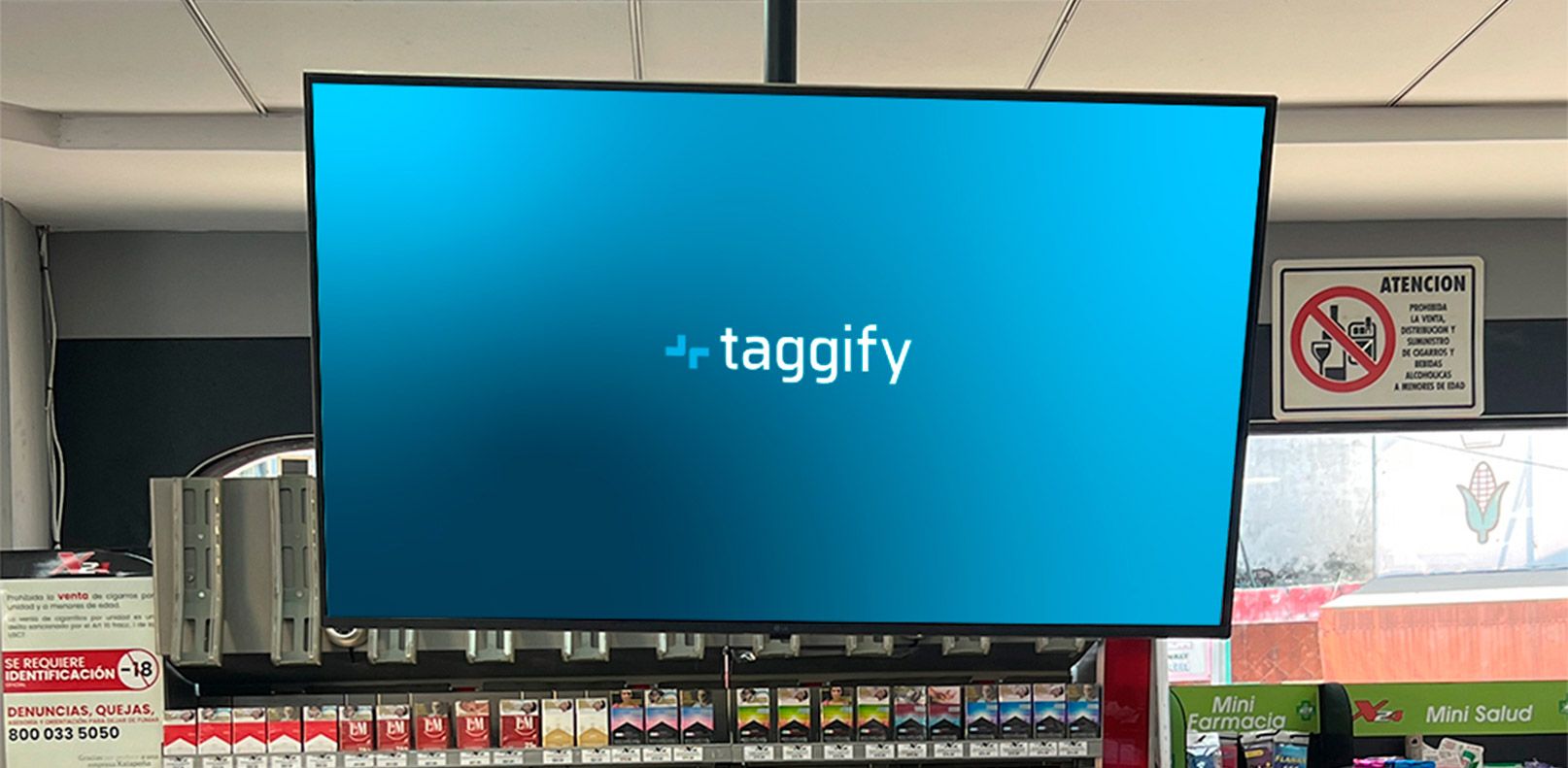 MX - Veracruz - Xalapa - Felipe Carillo Puerto - Reforma 2 - Xalapa