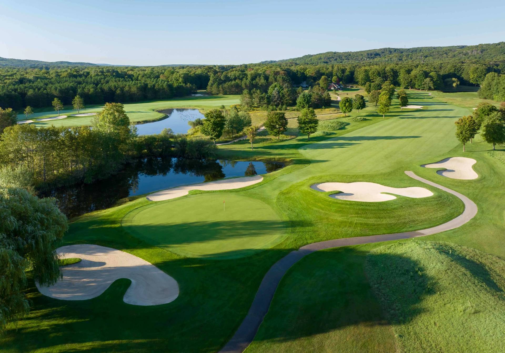 Donald Ross 15 golfers