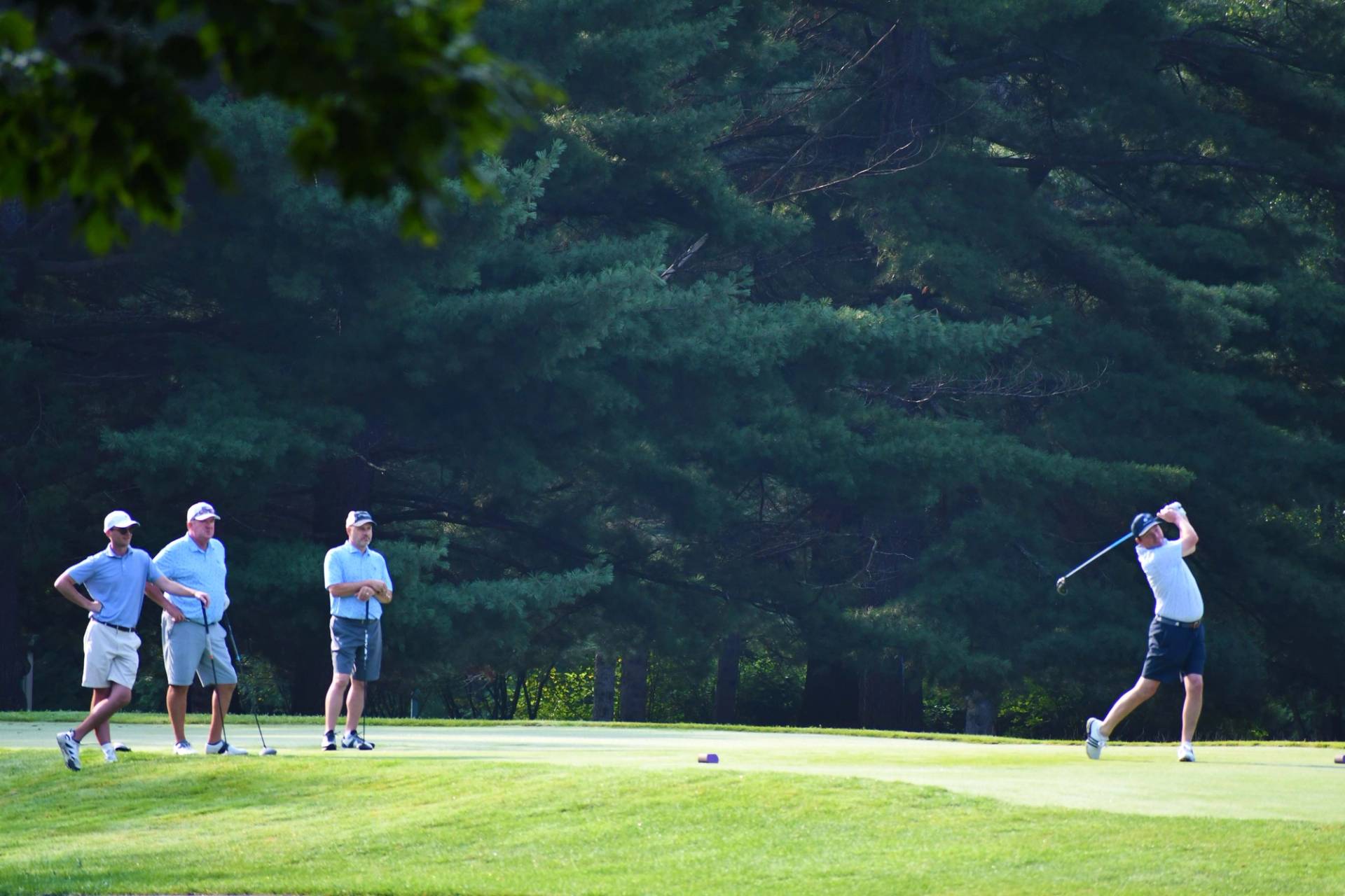 Foursome Teeing Off