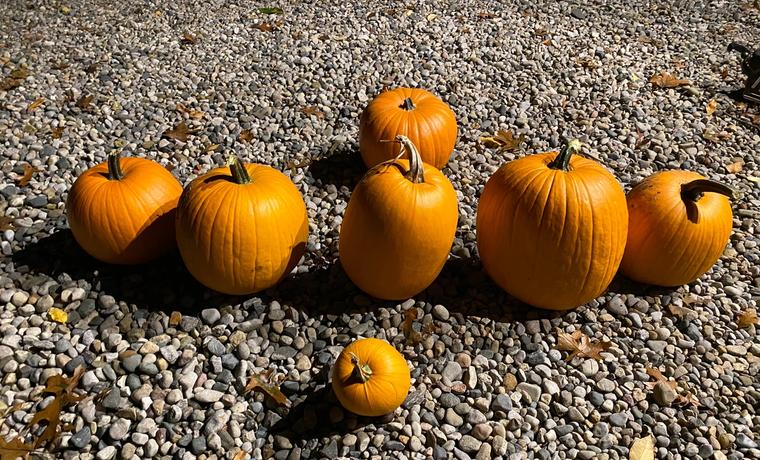 What's Happening Around Ann Arbor This Week: October 6–11