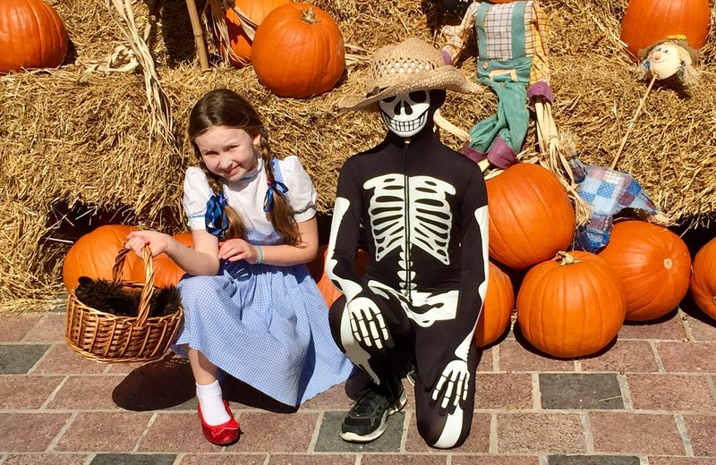 Article image for What's Happening Around Ann Arbor: October 20–25, 2026