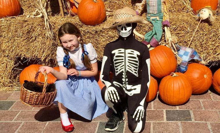 What's Happening Around Ann Arbor: October 20–25, 2026