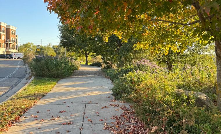 What's Happening Around Ann Arbor This Week: September 29–October 4