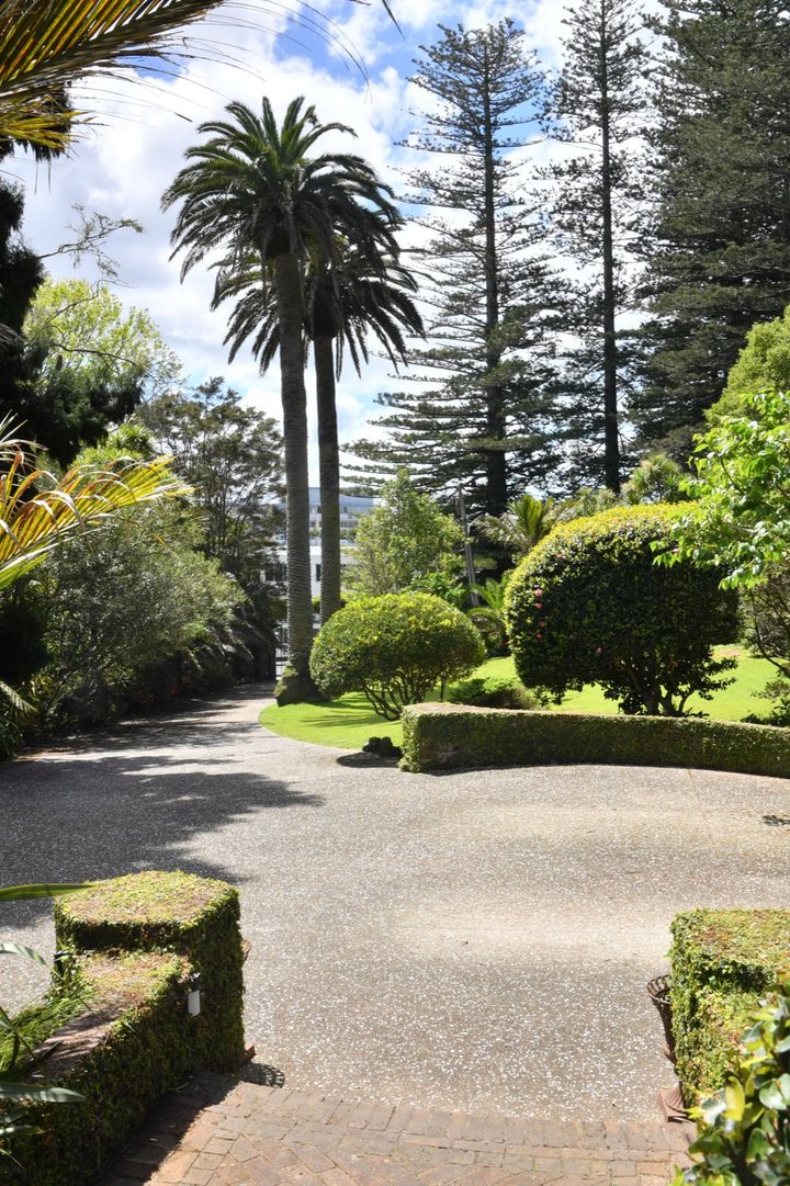 Exposed aggregate driveway on a premium Auckland residential project