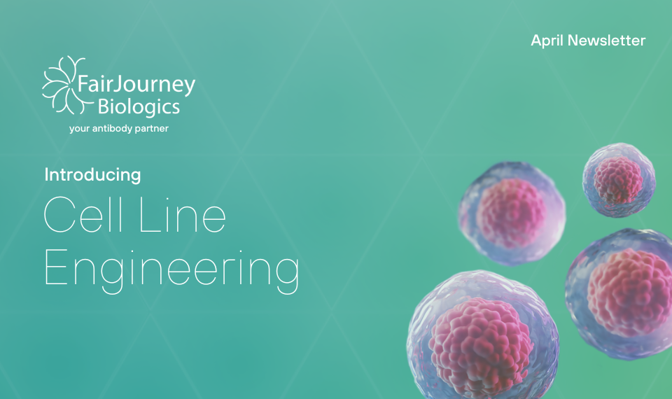 FairJourney Biologics is excited to share with you our latest offering Cell Line Engineering.
