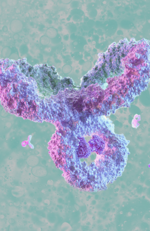 Antibodies_in_clinic_FairJourney Biologics.png