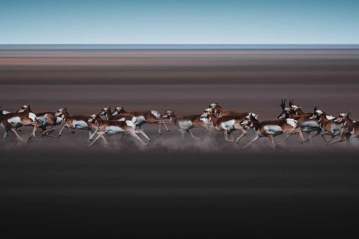 DIY Antelope Hunting in Wyoming | Infinite Outdoors