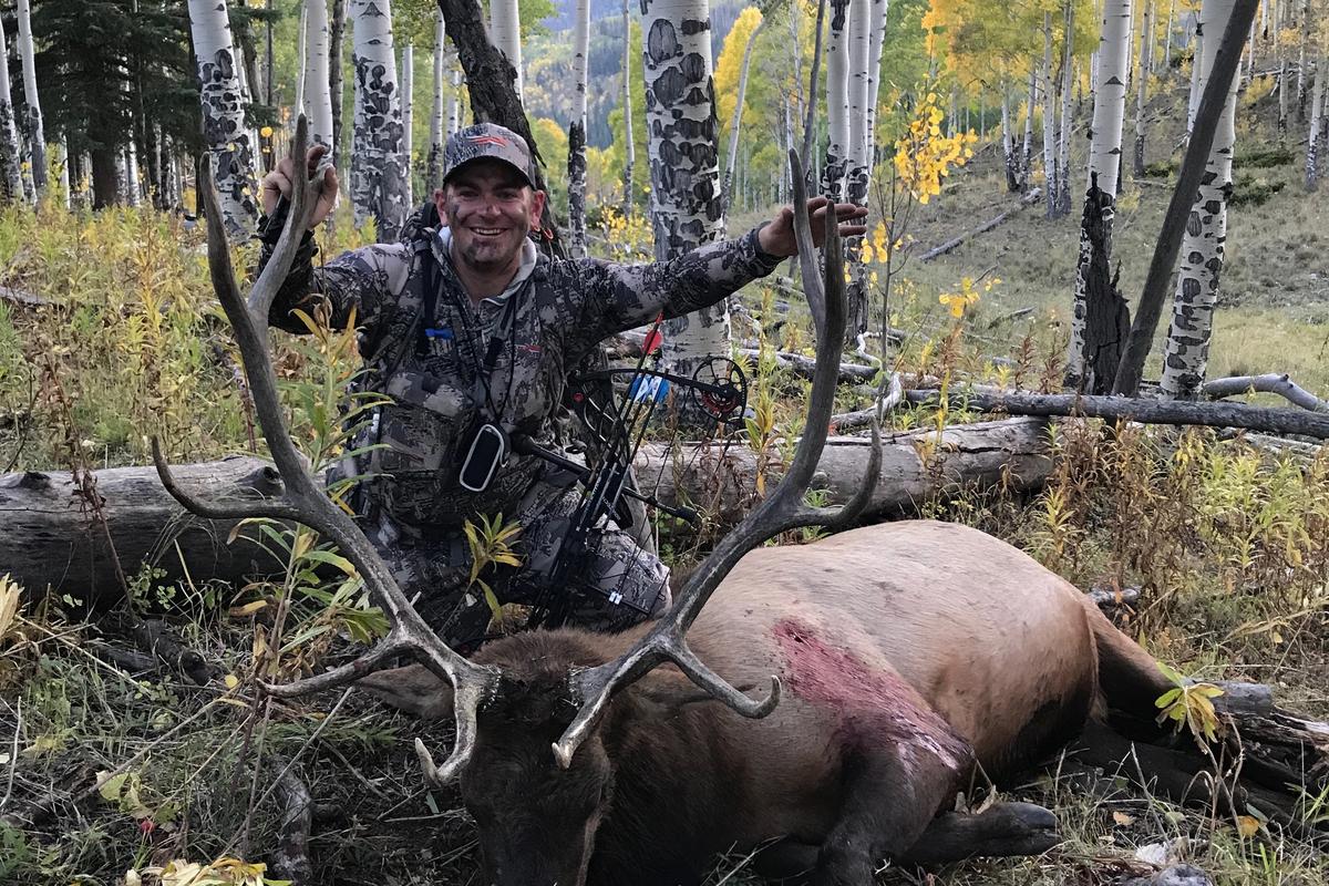 Colorado Elk Hunting Tags Taking advantage of OTC Elk Tags NOW
