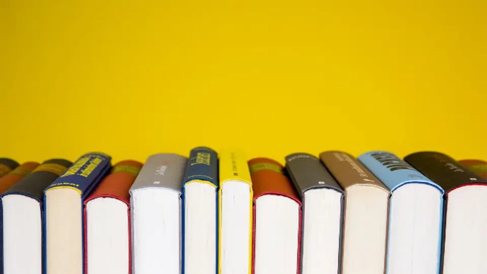 Syllabus – Introduction au féminisme noir