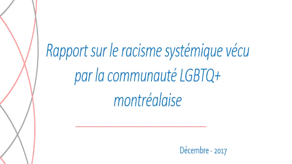 Rapport sur le racisme systémique – LGBTQ+