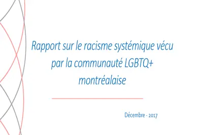 Rapport sur le racisme systémique – LGBTQ+