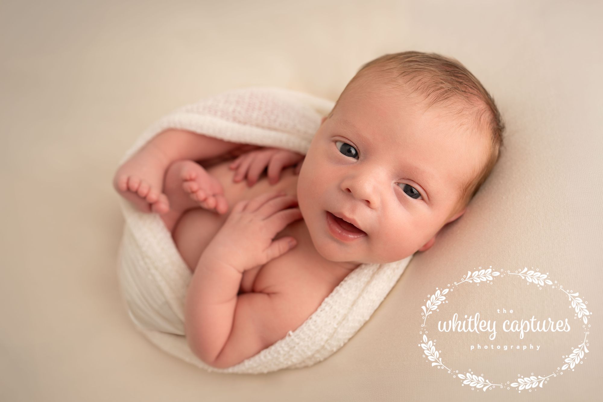 Baby wrapped in a soft pink blanket, looking towards the camera