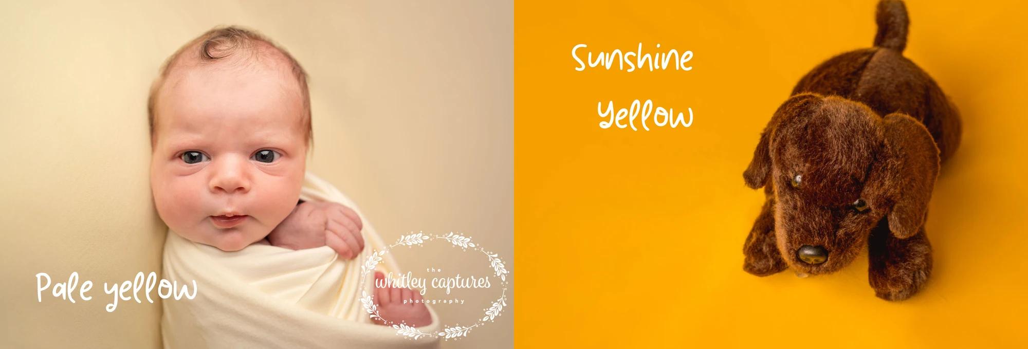 My baby photo shoot posing backdrop library — example 14