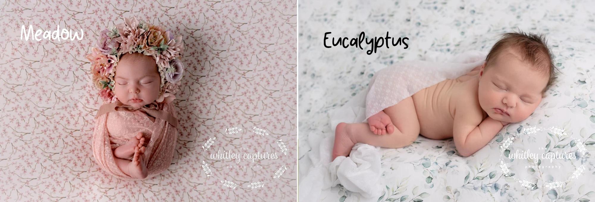 My baby photo shoot posing backdrop library — example 9