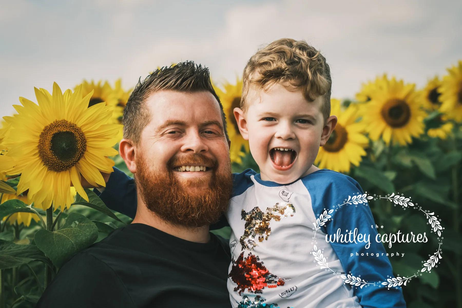 Sunflowers3