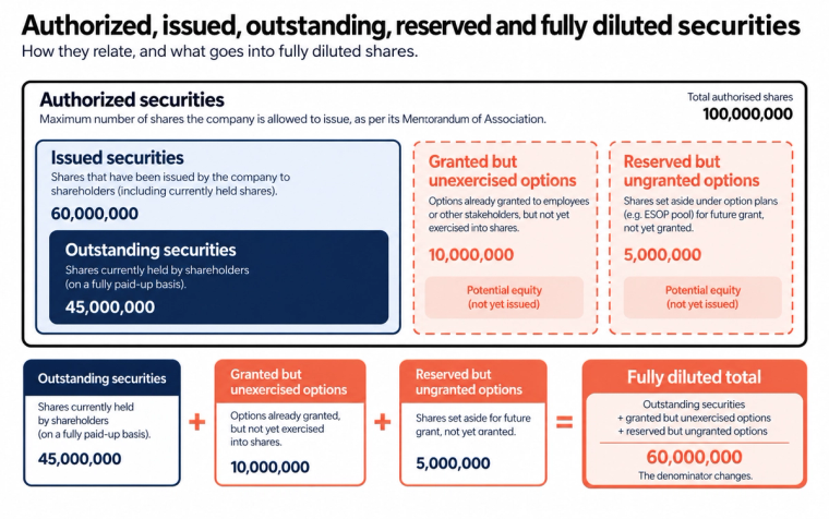 Infographic showing authorized, issued, and outstanding shares, alongside reserved and unexercised options used to calculate fully diluted shares.