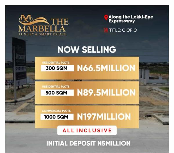 Commercial land along lekki-epe expressway (289lekki) in Lekki