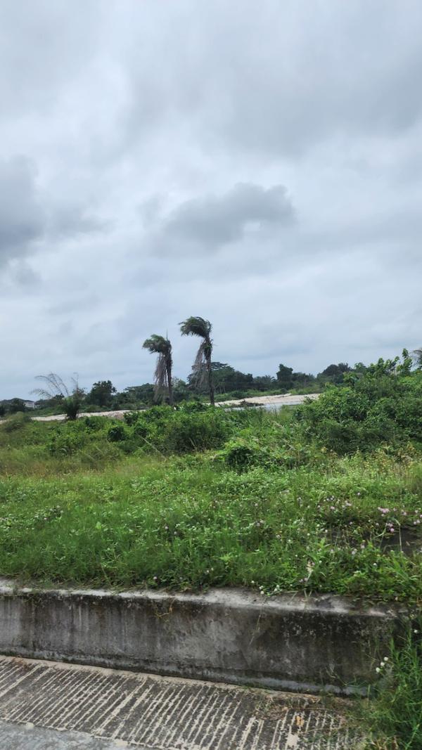 Serviced plots in a secure estate  in Lakowe