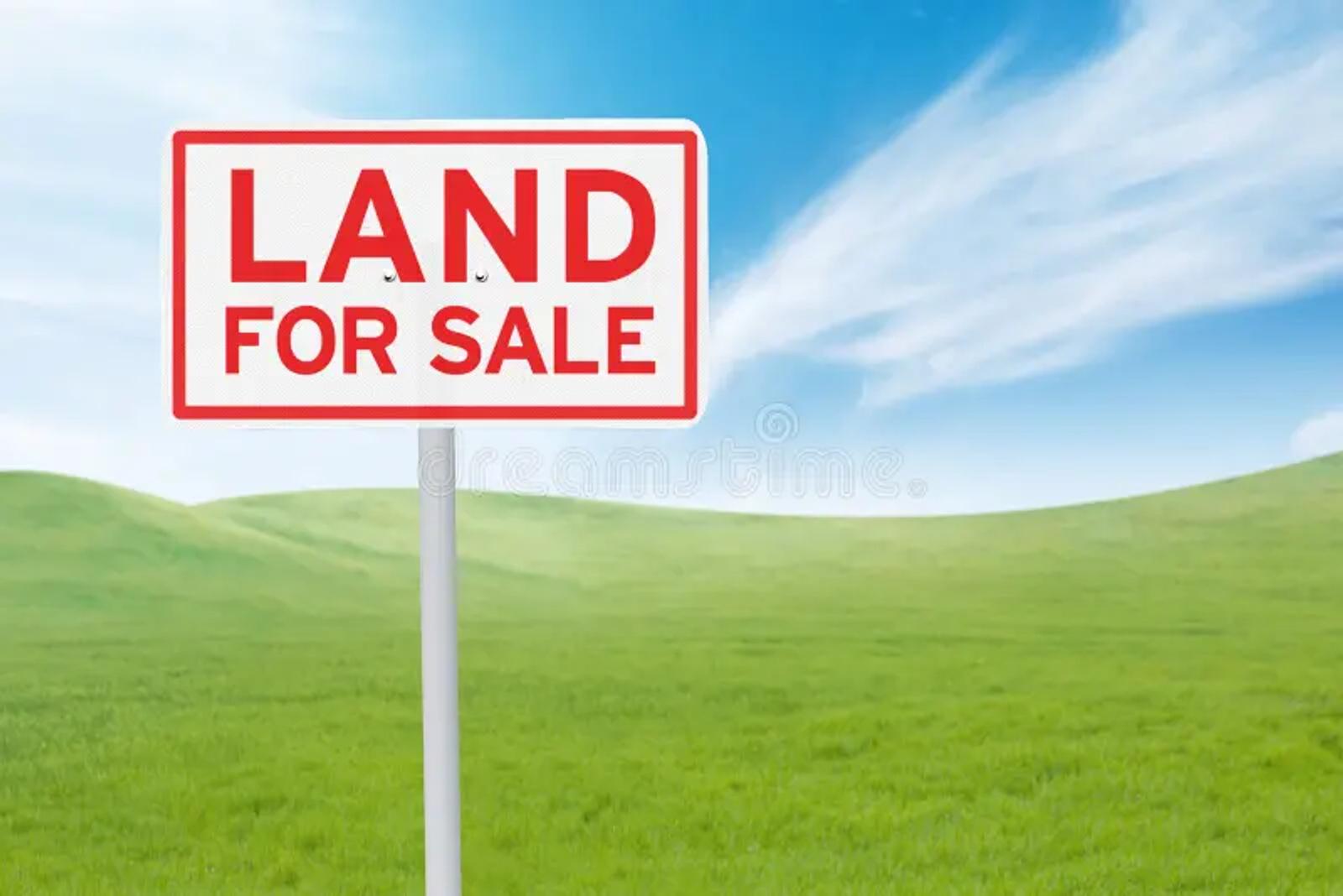 How To Verify A Land In Lagos Before You Purchase