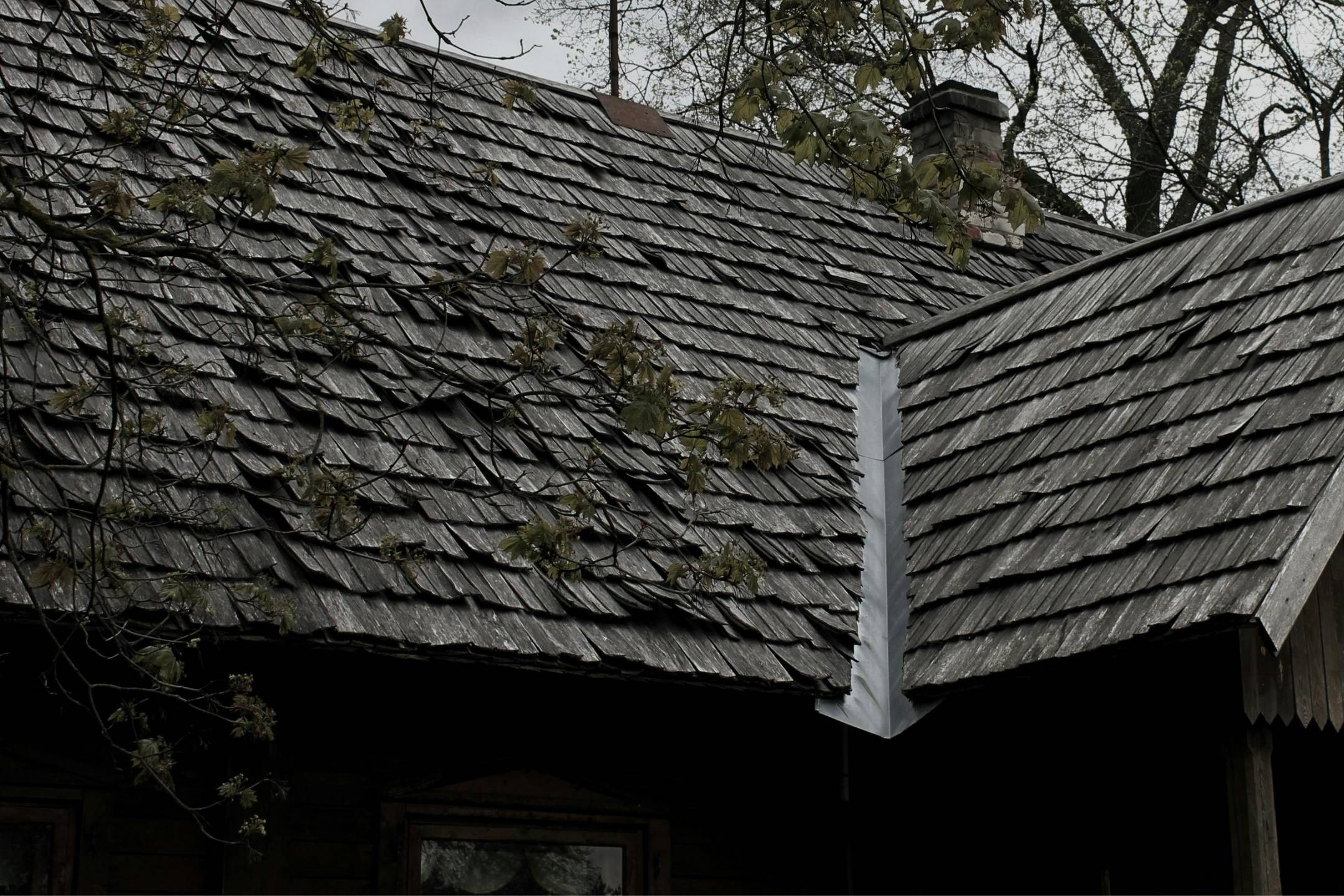 Image Why Does Your Roof Look Wavy or Uneven What NJ Homeowners Should Know.jpg