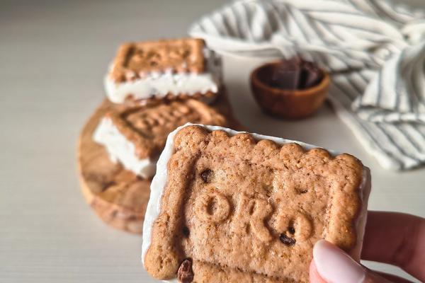 Biscotti gelato fatti in casa