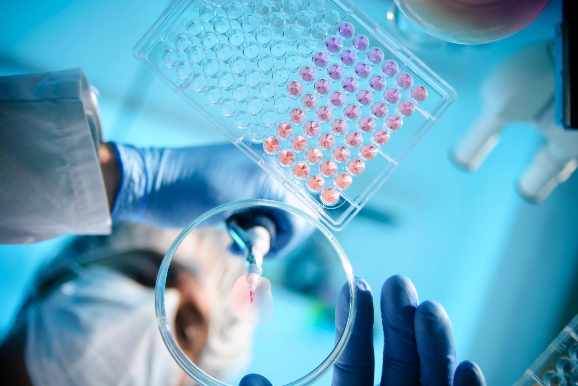 Standard Treatment vs. Clinical Trials: How to Decide What’s Right for Youimage