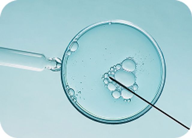 IVF logo