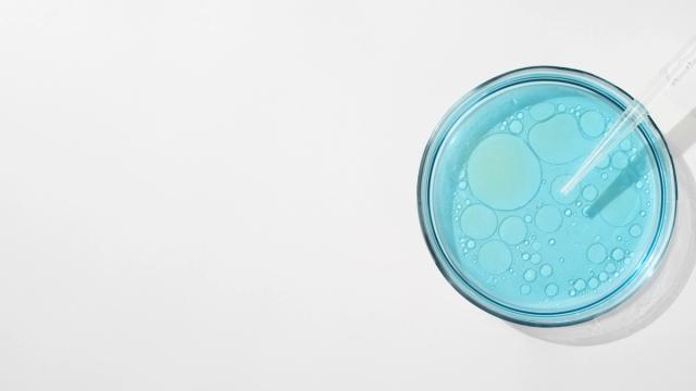 CAR-T Cell Therapy logo
