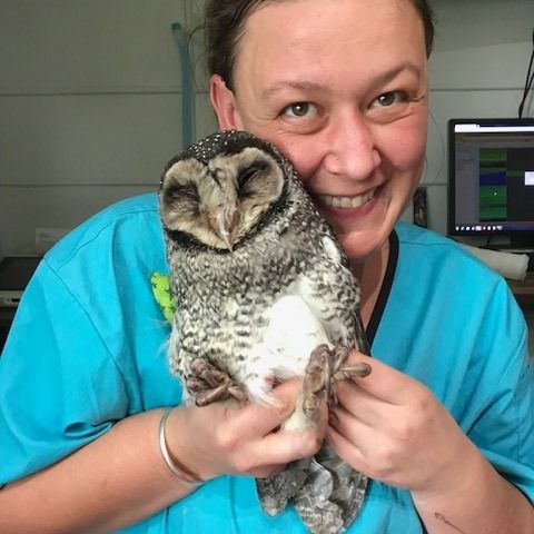 About Launceston Exotic Animal Hospital