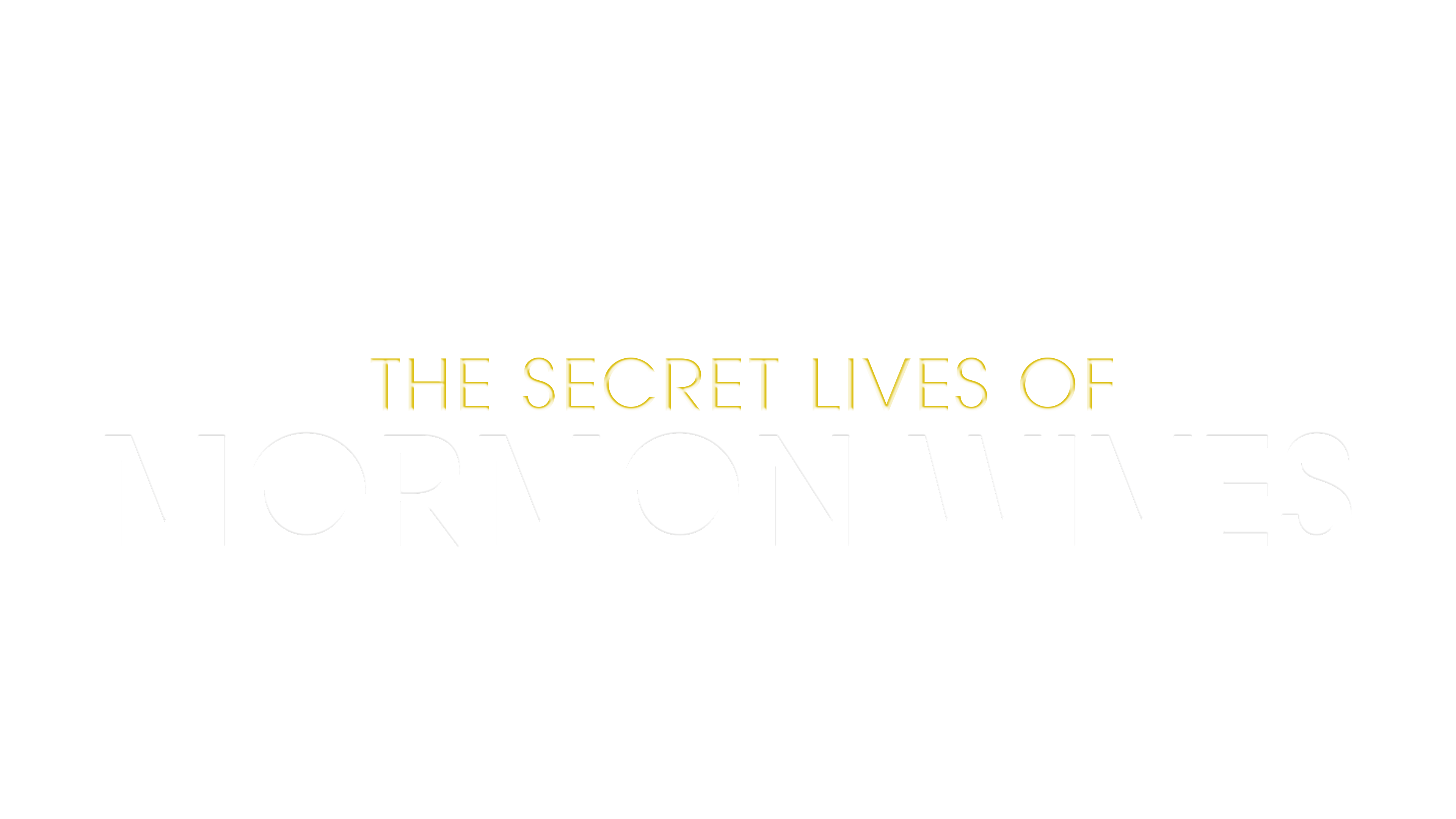 The Secret Lives of Mormon Wives logo