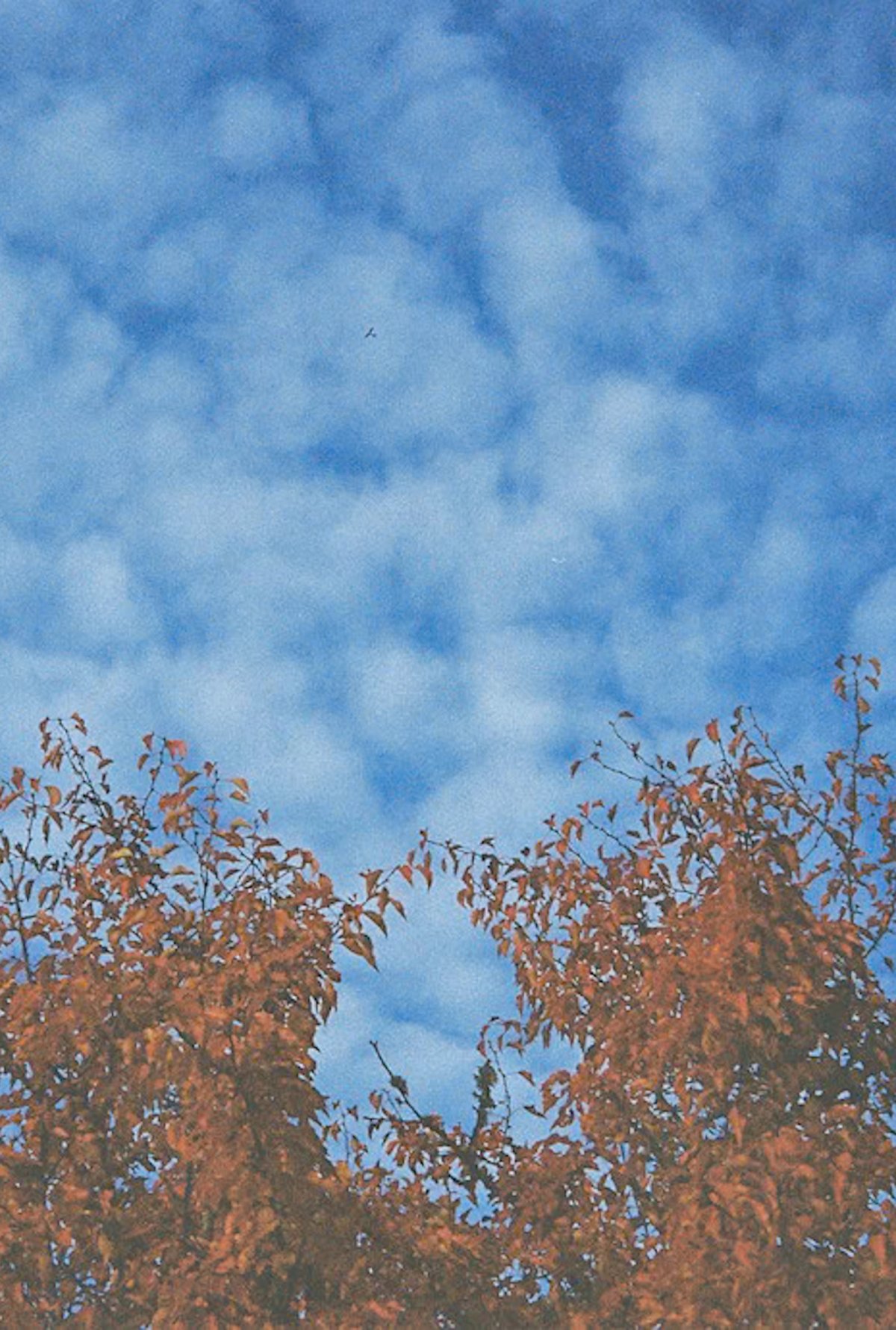 Elsewhere 4a