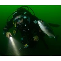 OrcaTorch D570-GL 1500 Lumen Dive Light Green Laser Light 8