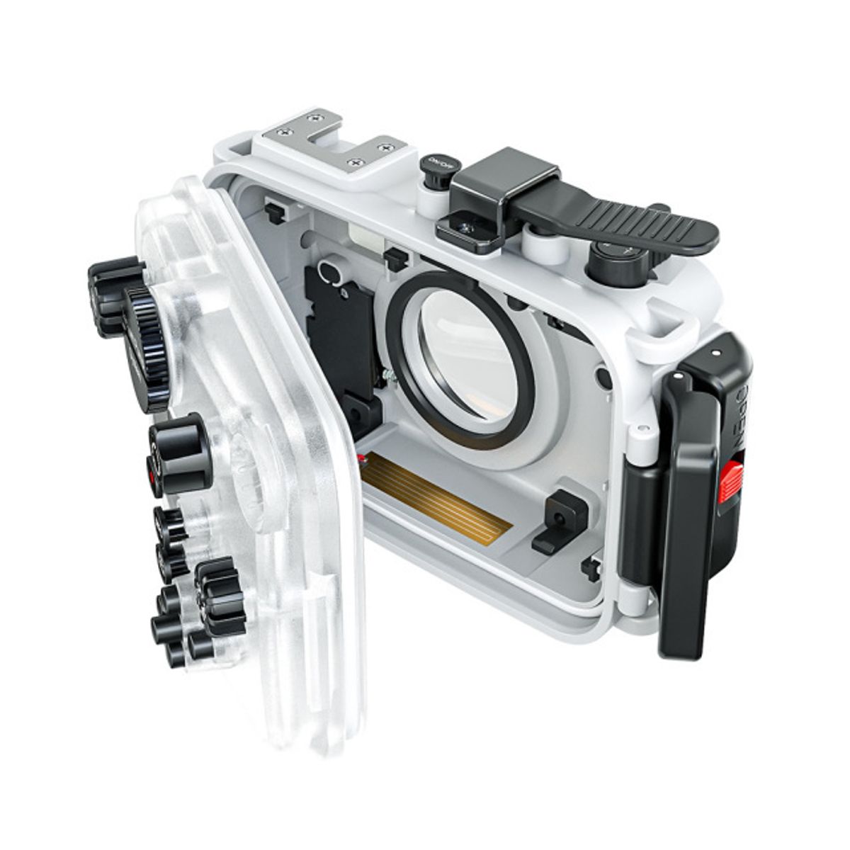 Sea Frogs 海蛙 Olympus TG Series 60m 潛水売 — 圖片 9