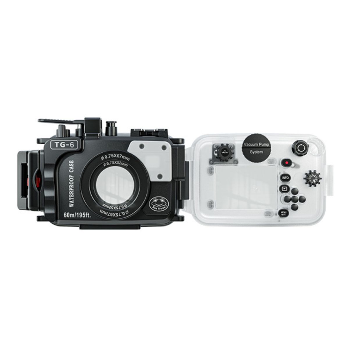 Sea Frogs 海蛙 Olympus TG Series 60m 潛水売 — 圖片 12
