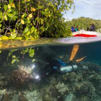 Akuana Sidemount BCD Hummingbird 2 6