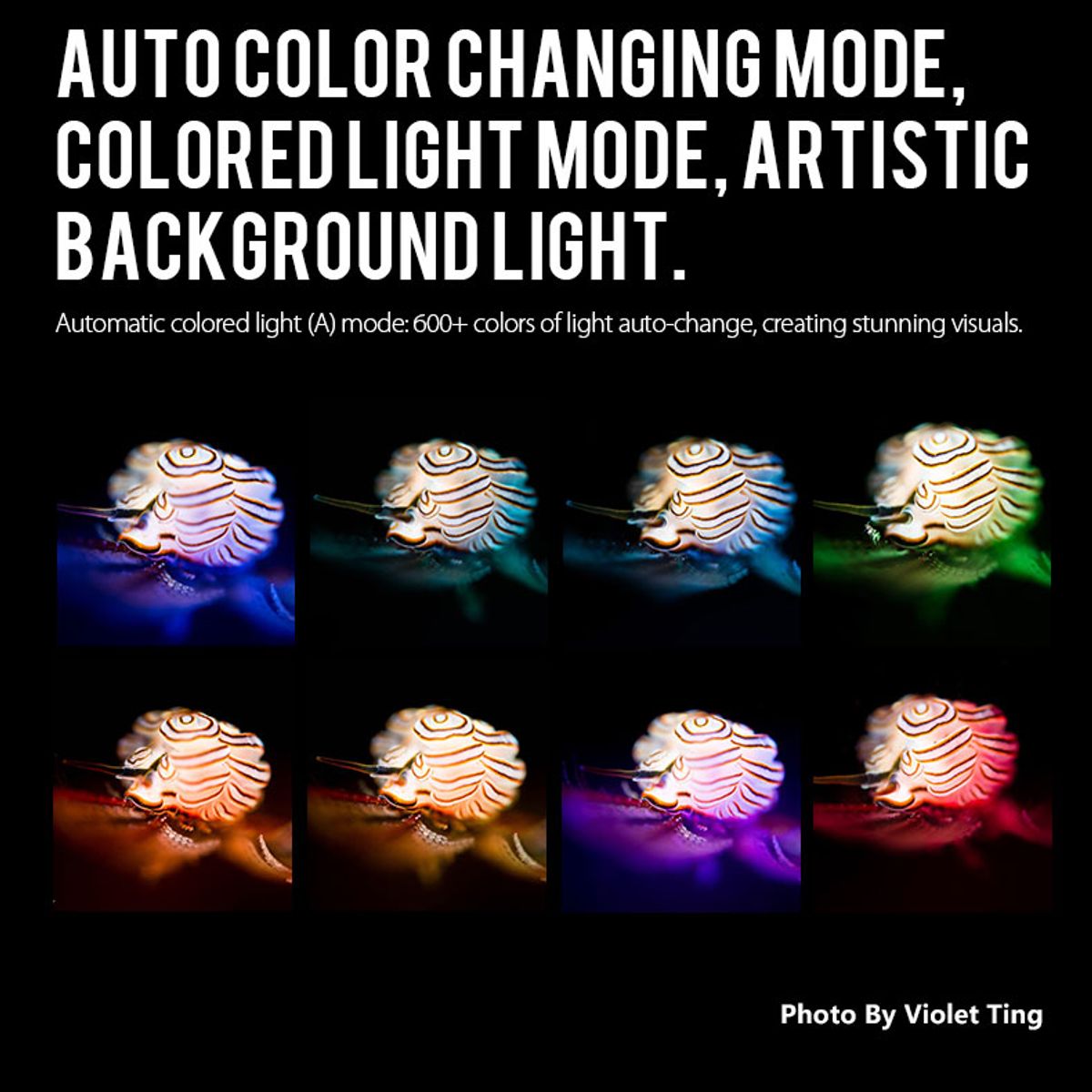 Weefine WF106 Smart Focus 5000V2 Lumen All-In-One Function Video Light — 圖片 9