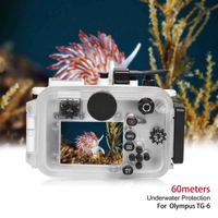 Sea Frogs 海蛙 Olympus TG Series 60m 潛水売 2