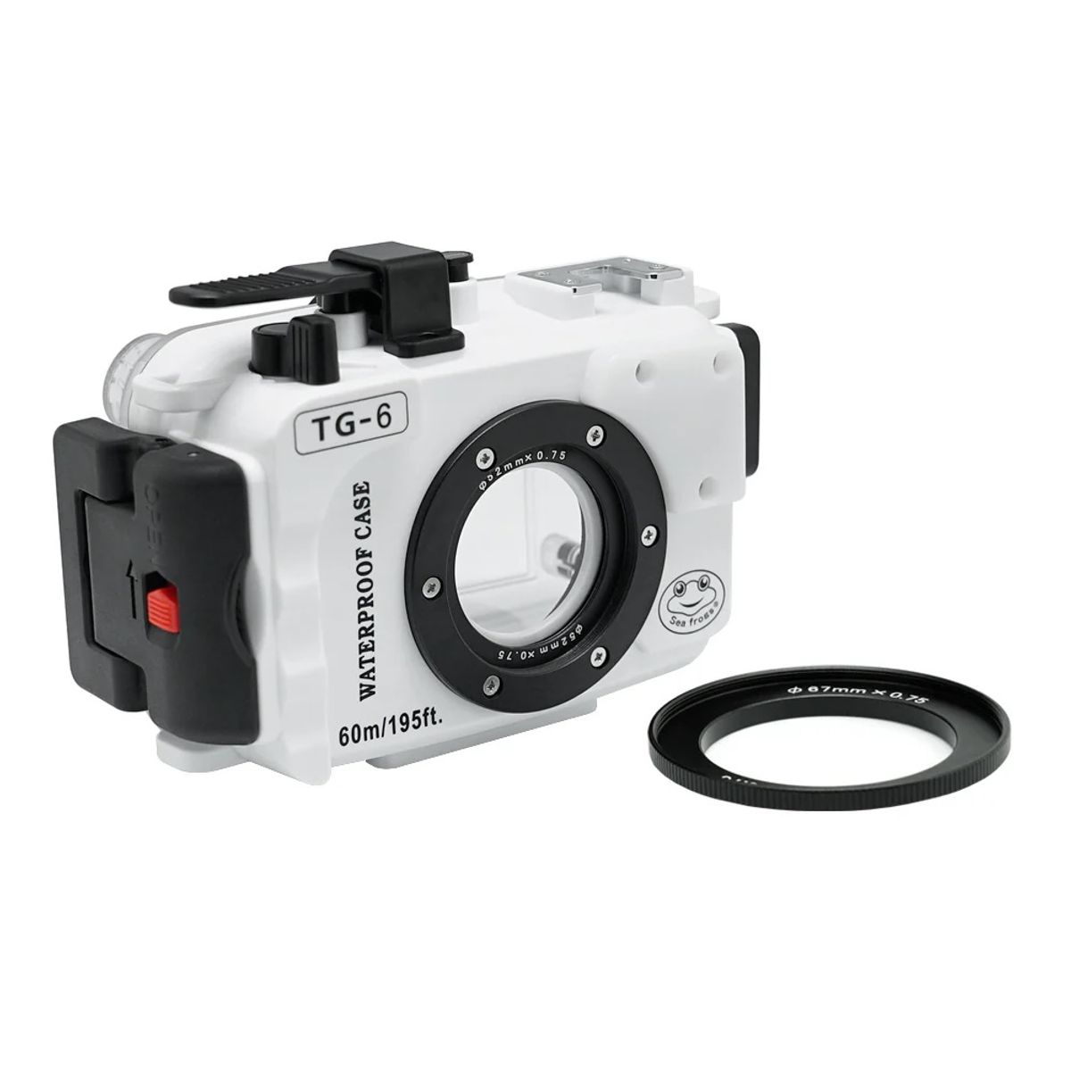 Sea Frogs 海蛙 Olympus TG Series 60m 潛水売 — 圖片 4