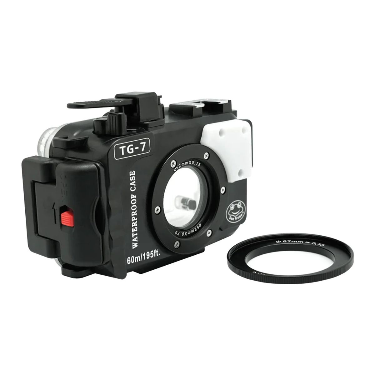 Sea Frogs 海蛙 Olympus TG Series 60m 潛水売 — 圖片 15