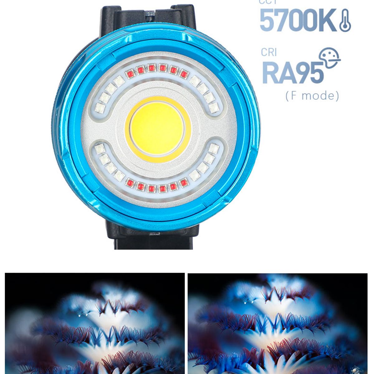 Weefine WF106 Smart Focus 5000V2 Lumen All-In-One Function Video Light — 圖片 10