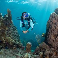 Scubapro Aladin A1 Dive Computer 入門級藍牙電腦錶 11