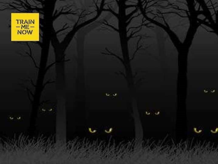 Nocne Marki – Bieg nocny z Jaguar Fit